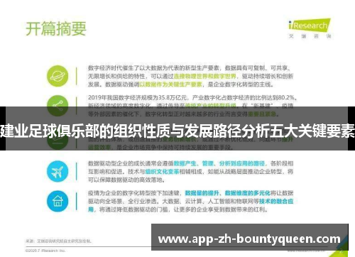 建业足球俱乐部的组织性质与发展路径分析五大关键要素